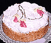 s1.gif (5840 bytes)